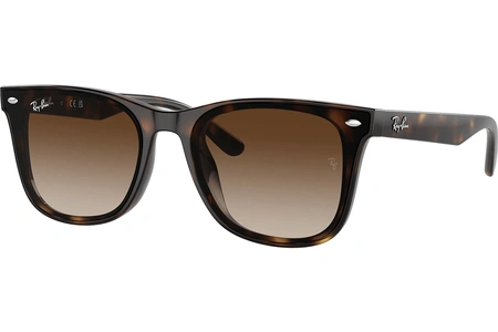 rayban, RB 4420, vīriešiem, stūrains, plastmasa