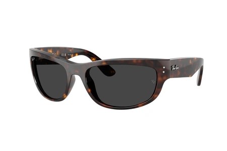 rayban, RB 2289, vīriešiem, plastmasa